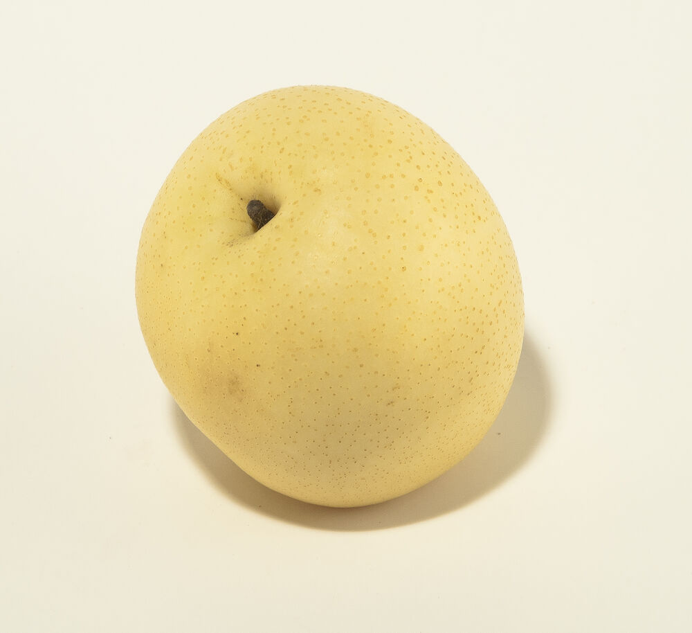 Päron Nashi  Klass 1