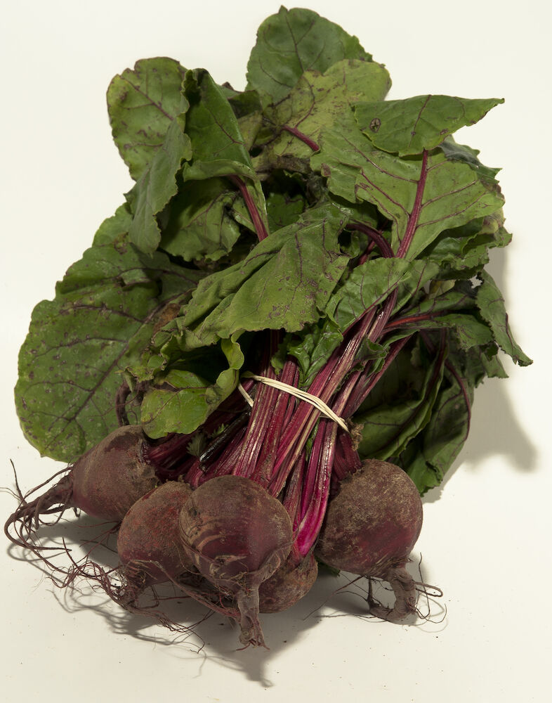 Rödbeta knippe knippe Klass 1