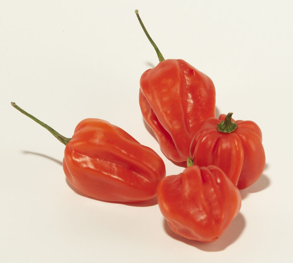 Peppar Habanero