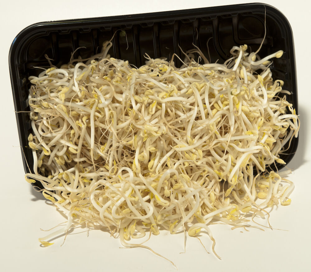 Groddar Bön KRAV SE