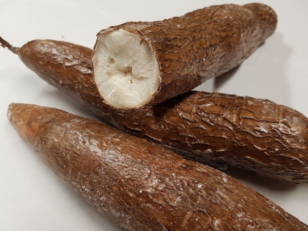 Cassava