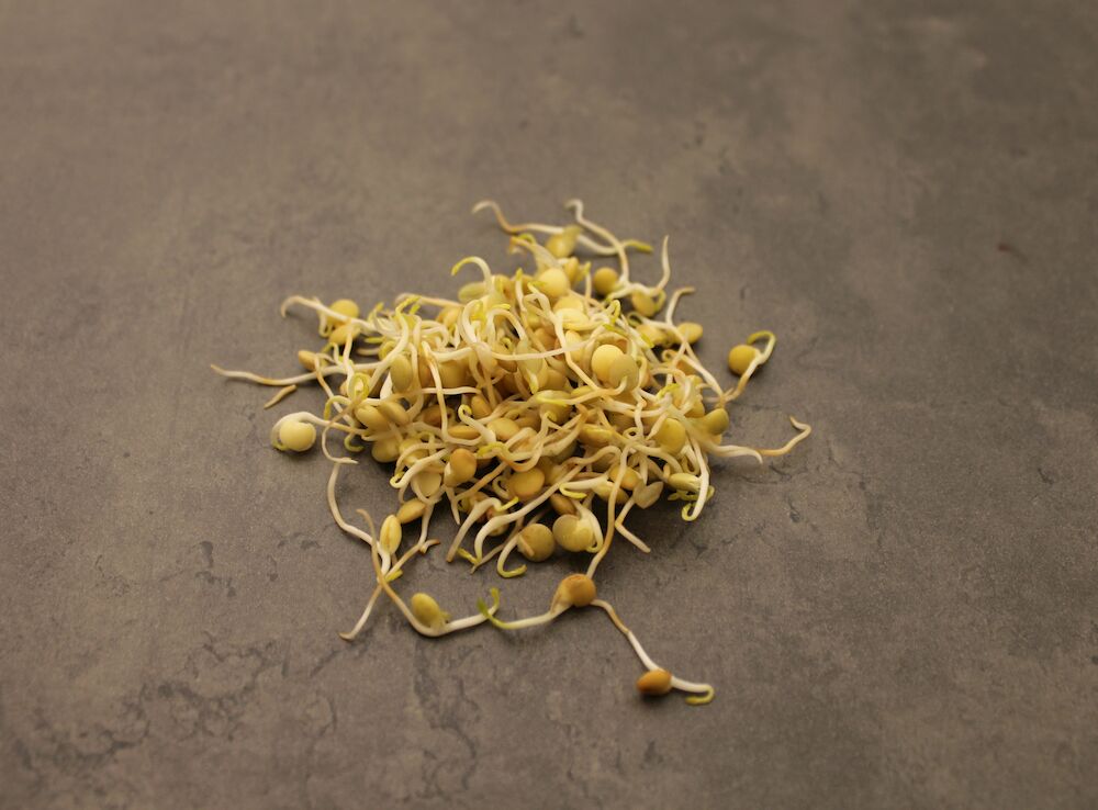 Groddar Lins KRAV SE