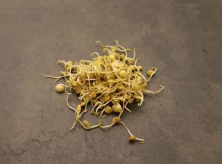 Groddar Lins KRAV SE