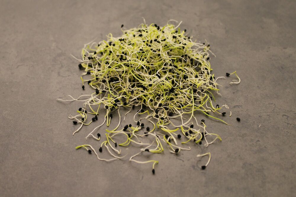 Groddar Purjolök KRAV SE