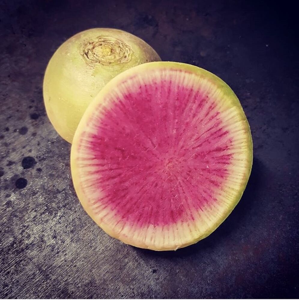 Rädisa melon