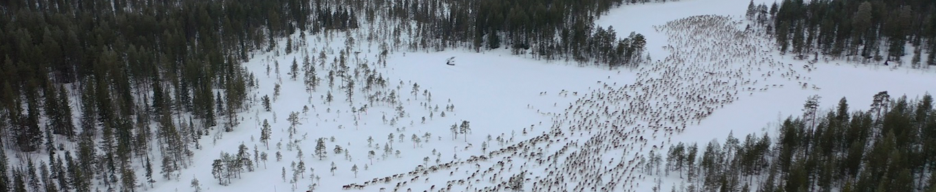 Ren och skär matglädje