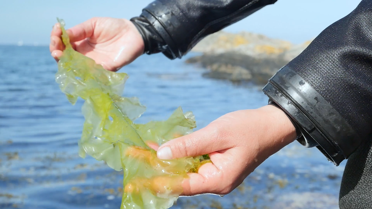 Kvinna_haller_i_tang