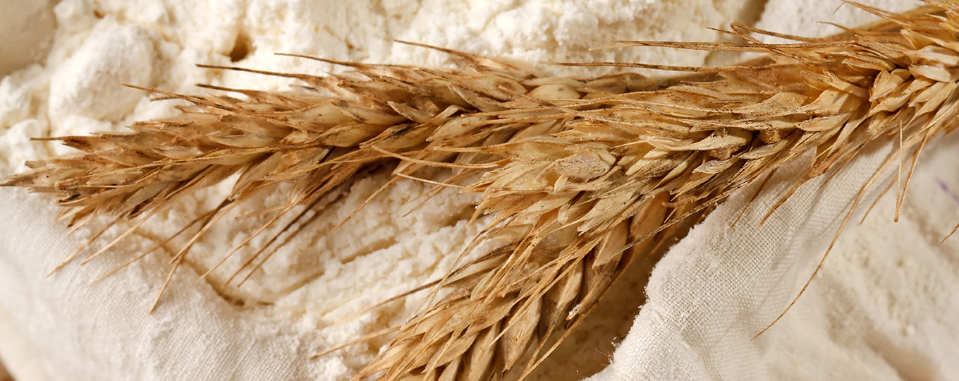 Glutenintolerans (celiaki)