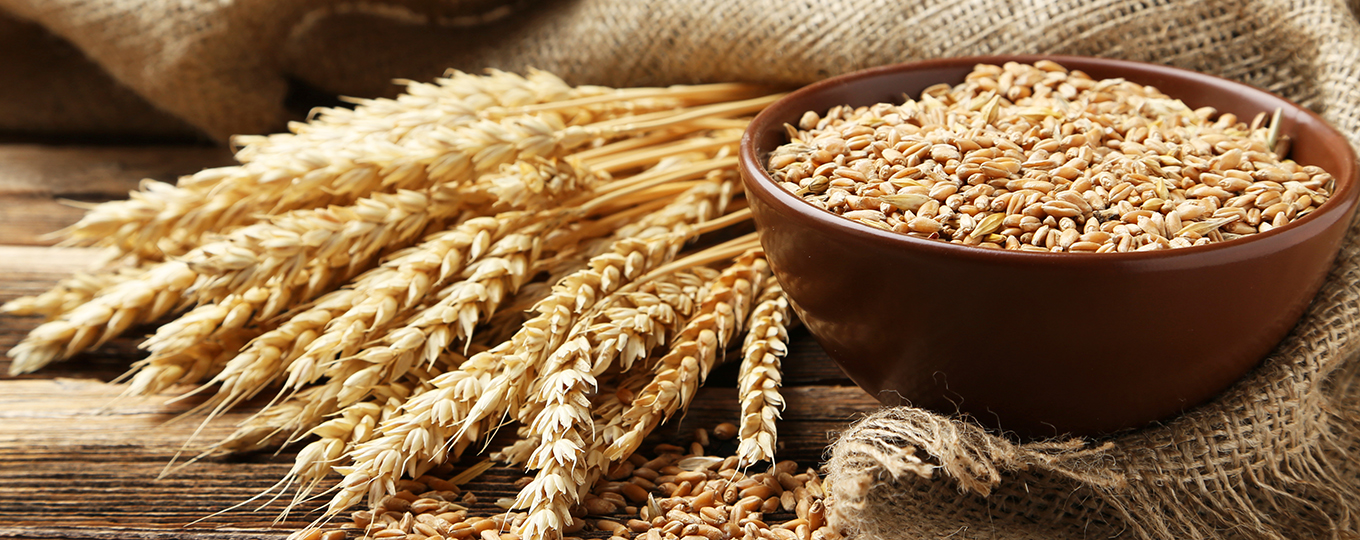 Matvetet, det klimatsmarta alternativet