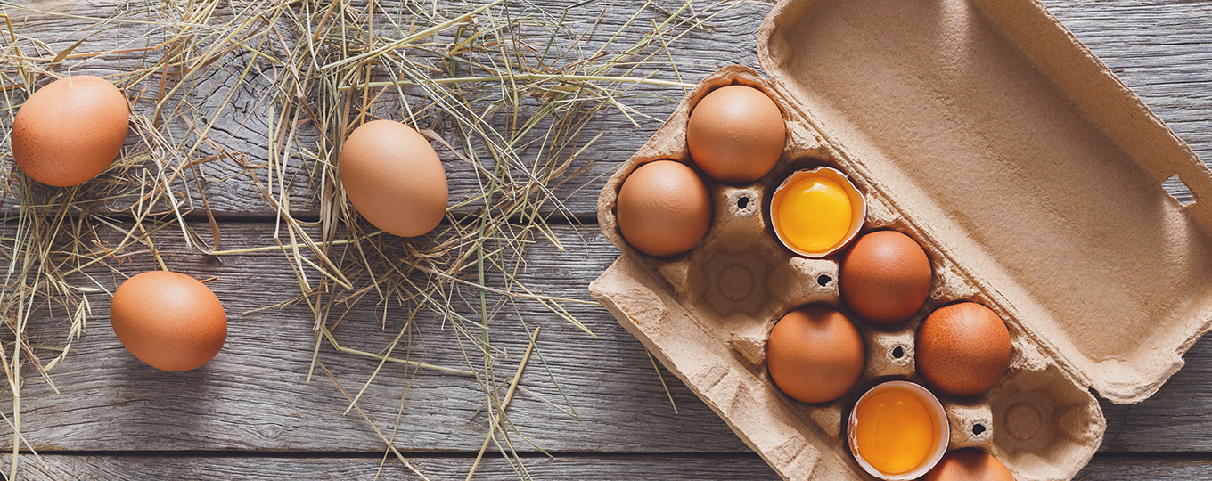 Gör dina gäster mätta med olika proteiner