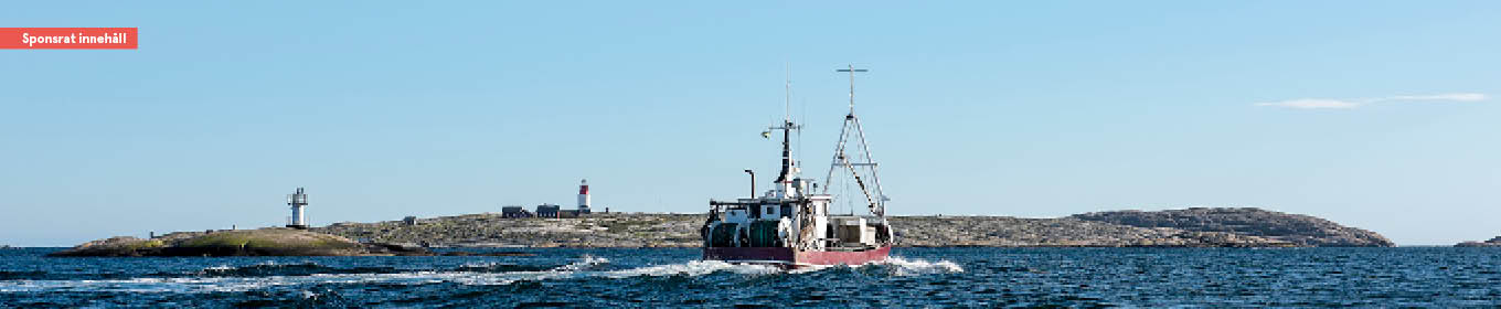 Merhav och Lysekils sätter en ny standard för märkning av sjömat