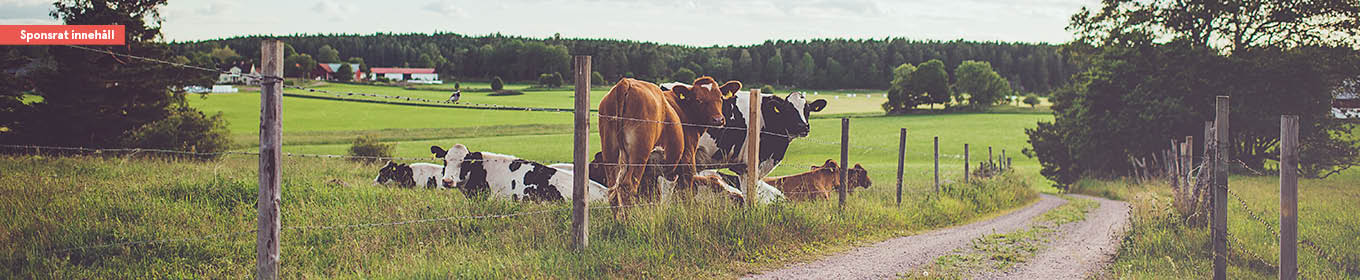 Omtanke från Skåne