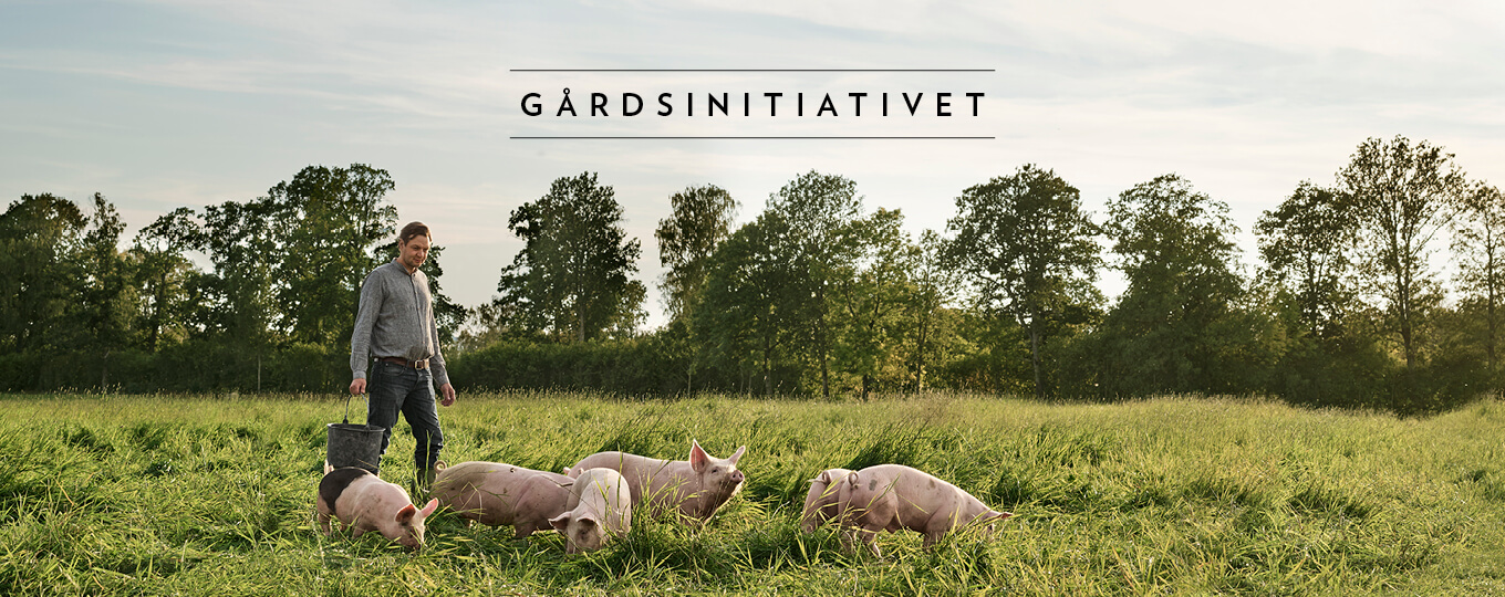 När bonden och grisarna går sin egen väg