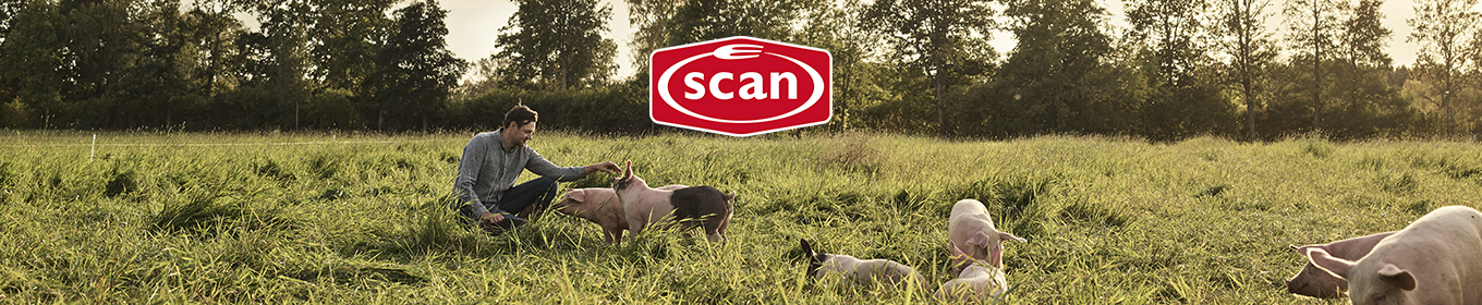 Scan - Svenskt kött spelar roll