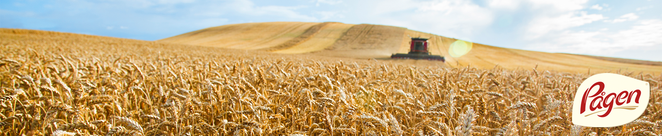 Pågen inför premiering av hållbar spannmålsodling