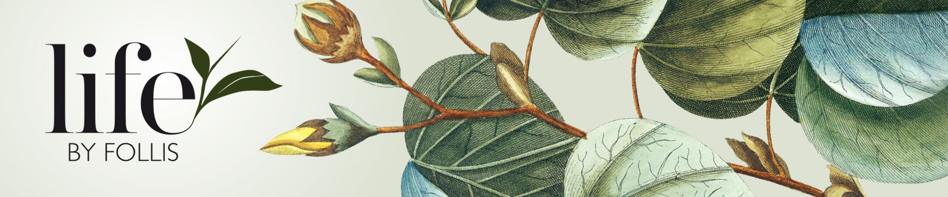 Ekologiskt och Fairtrade certifierat  premiumte med äkta råvaror.