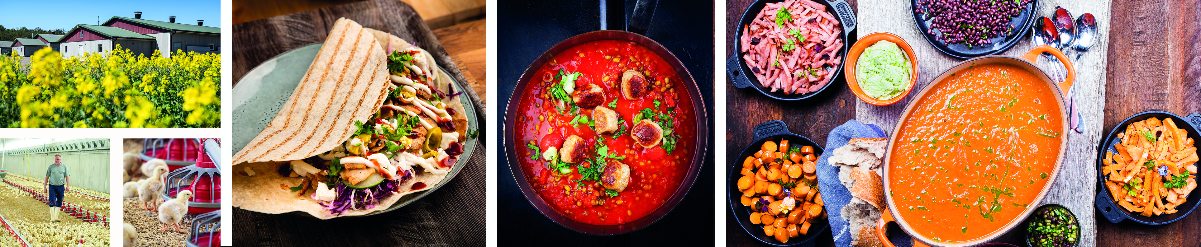 Variera klimatklokt med Lithells svenska kycklingchark