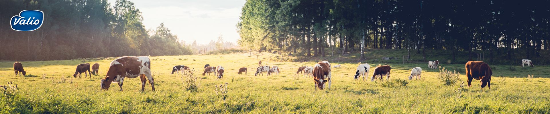 Valios mål – Koldioxidneutral mjölk 2035